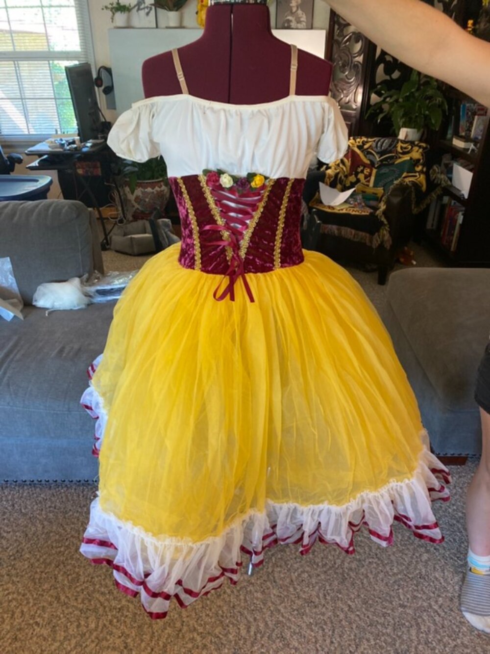 Romantic Tutu Corset Costume Dress